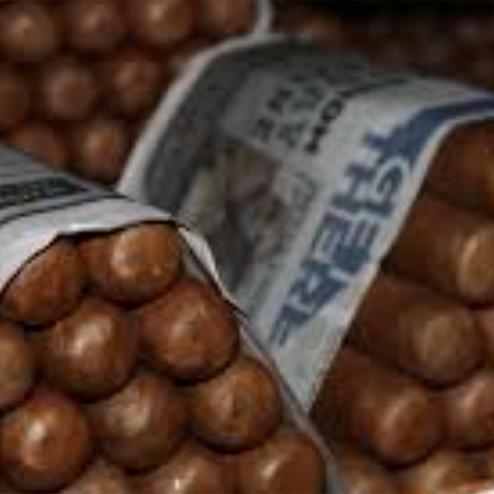 Fresh Rolled Cowboy Cigars